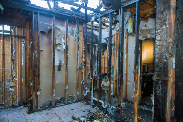 Professional Structural Rebuild technician working in Story City, IA